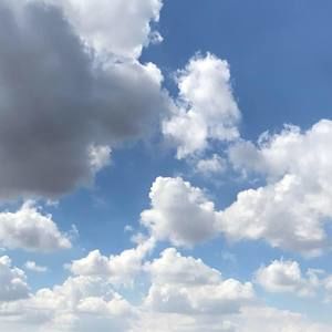 Meet your Posher, Nina